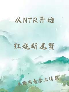 从NTR开始