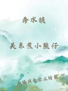 秀水镇
