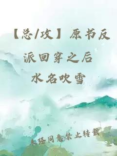 【总/攻】原书反派回穿之后