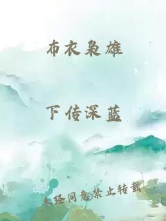 布衣枭雄