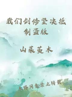 我们剑修坚决抵制盗版