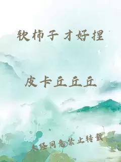 è½¯æ¿å­æå¥½æ