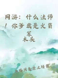 网游:什么法师!你爹我是火箭军
