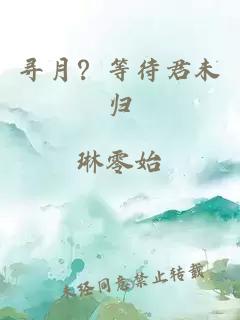 寻月？等待君未归