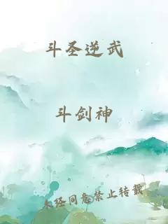 斗圣逆武