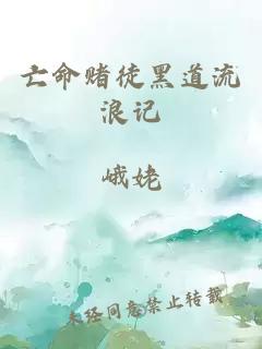 亡命赌徒黑道流浪记