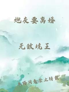 炮灰要离婚