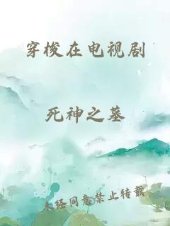 穿梭在电视剧