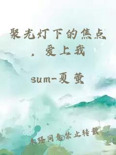 聚光灯下的焦点，爱上我