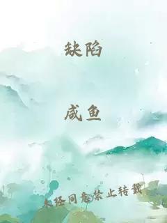 缺陷
