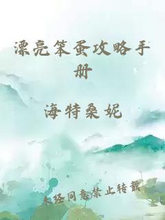 漂亮笨蛋攻略手册