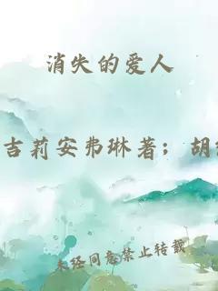 消失的爱人