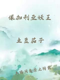 ä¿å å©äºå¦ç