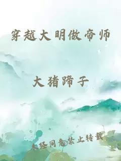 穿越大明做帝师