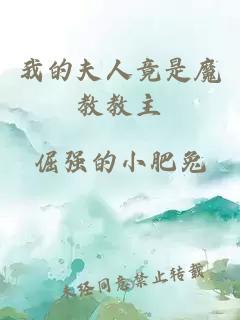 我的夫人竟是魔教教主