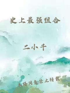 史上最强组合小说封面 史上最强组合