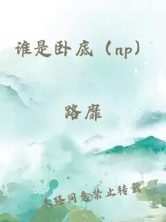 谁是卧底（np）