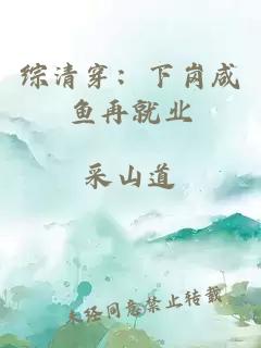 综清穿：下岗咸鱼再就业