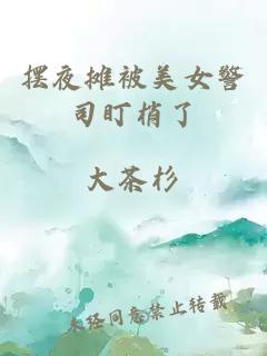 摆夜摊被美女警司盯梢了