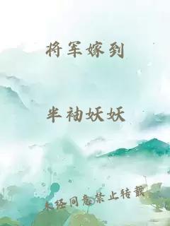 将军嫁到