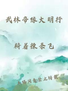 武林帝缘大明行