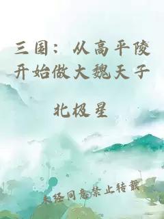 三国：从高平陵开始做大魏天子