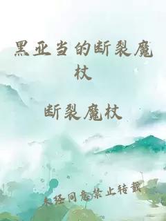 黑亚当的断裂魔杖