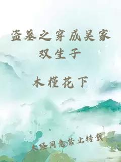 盗墓之穿成吴家双生子