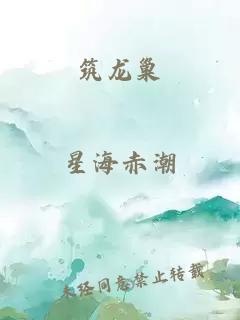ç­é¾å·¢