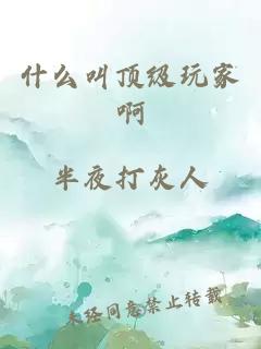 什么叫顶级玩家啊