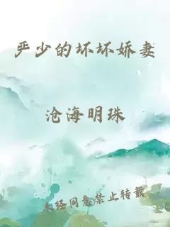 严少的坏坏娇妻