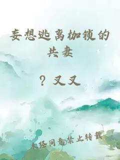 妄想逃离枷锁的共妻