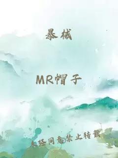 暴械