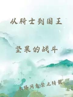 从骑士到国王