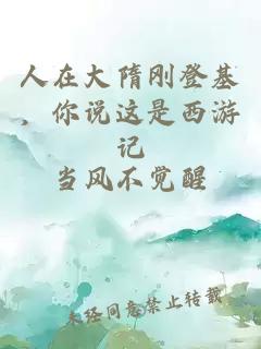 人在大隋刚登基，你说这是西游记