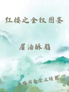 红楼之金钗图鉴