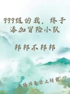 999级的我,终于添加冒险小队