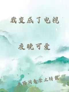 我变成了电视