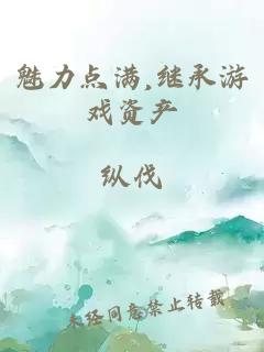 魅力点满,继承游戏资产