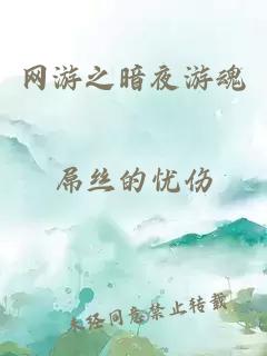 网游之暗夜游魂