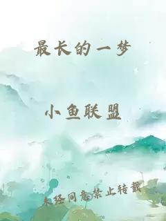 最长的一梦