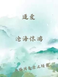 适爱