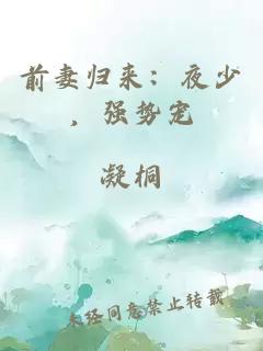 前妻归来：夜少，强势宠