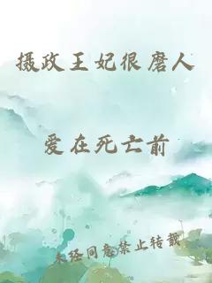 摄政王妃很磨人