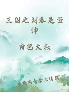 三国之刘备是盗帅
