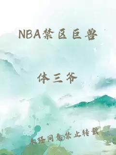 NBA禁区巨兽