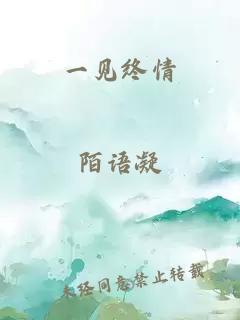 一见终情