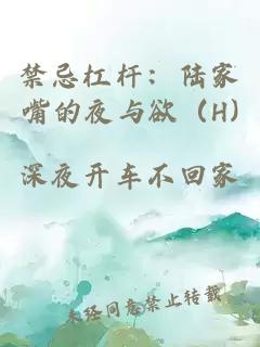 禁忌杠杆：陆家嘴的夜与欲（H)