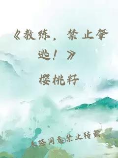 《教练,禁止肇逃!》