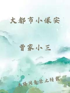 大都市小保安